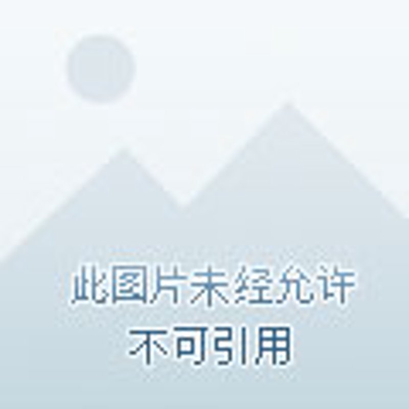 寻找品牌的灵魂：品牌设计选购指南
